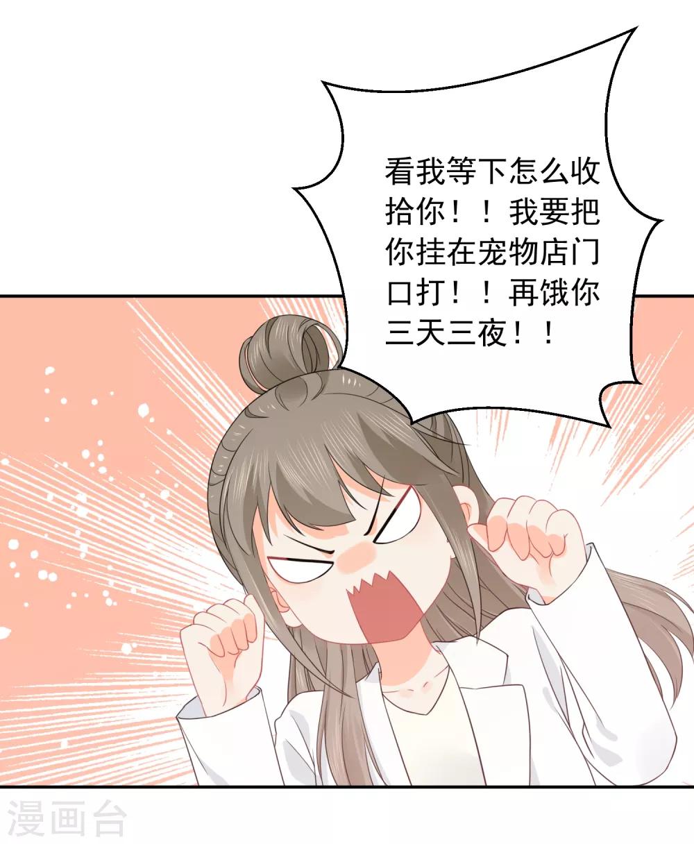 第33话 迷上蠢女人-第34话