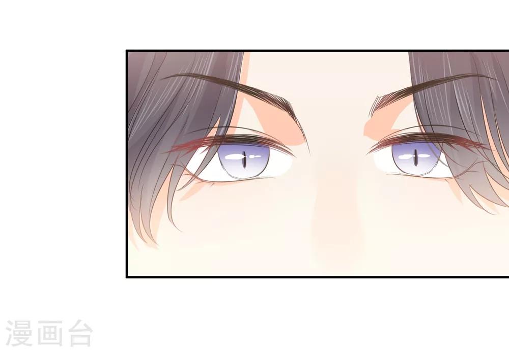 第41话 酒桌战场-第42话