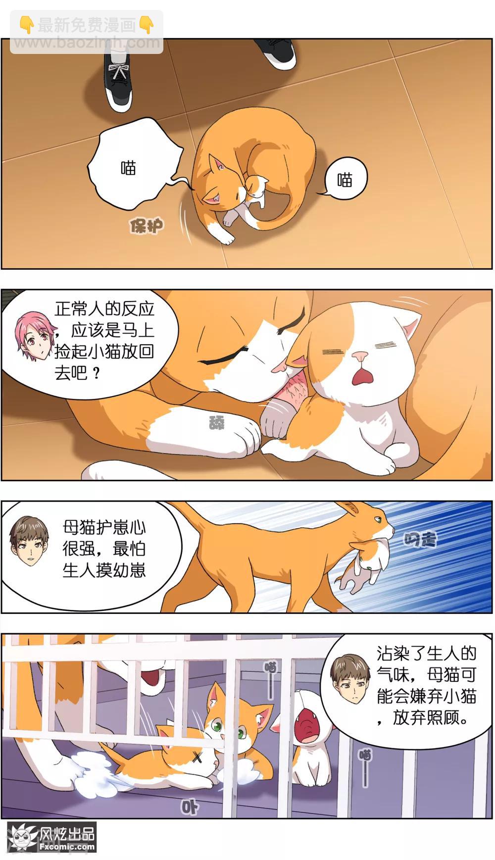 第4话2 宠物之家-第10话