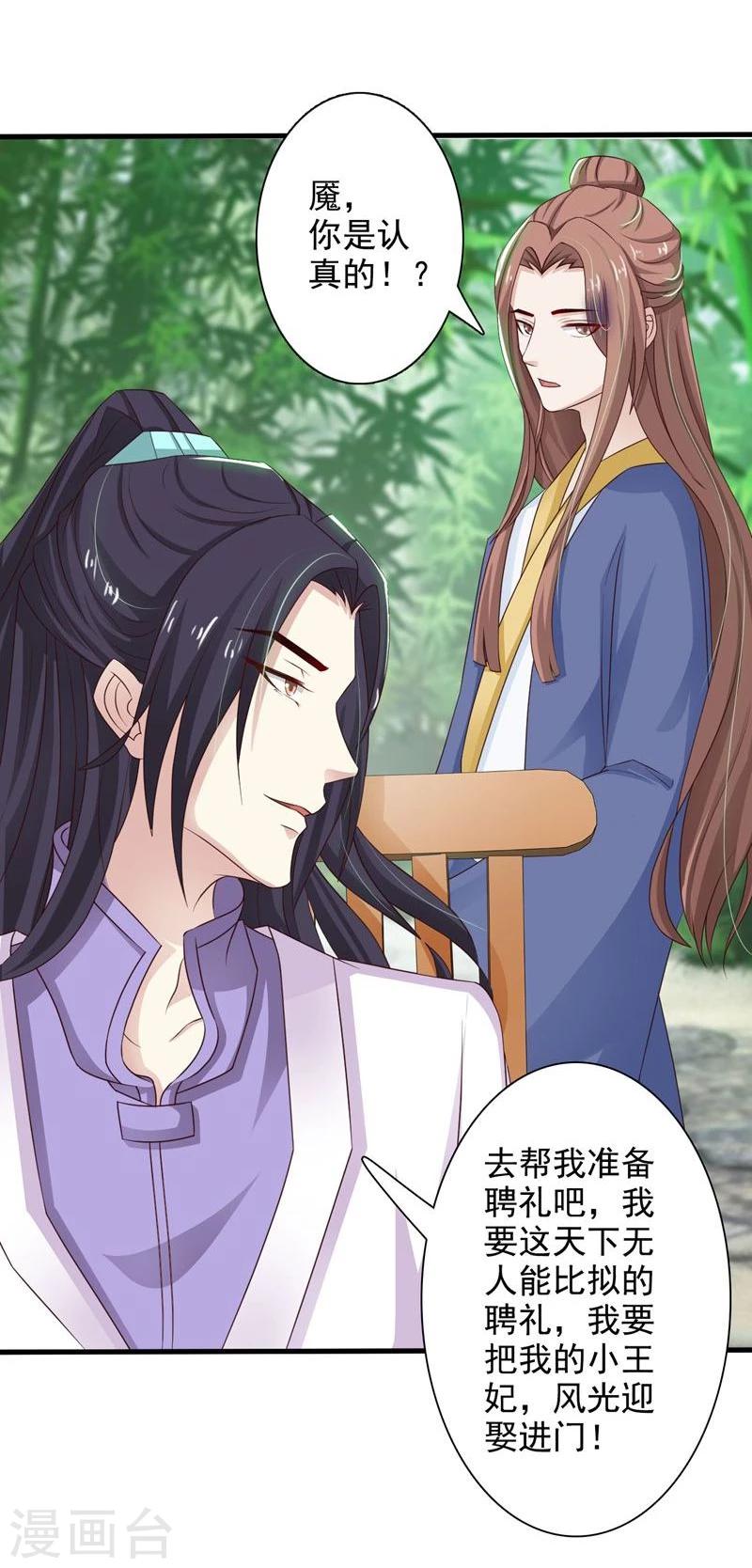 第41话 暗中保护小王妃-第44话