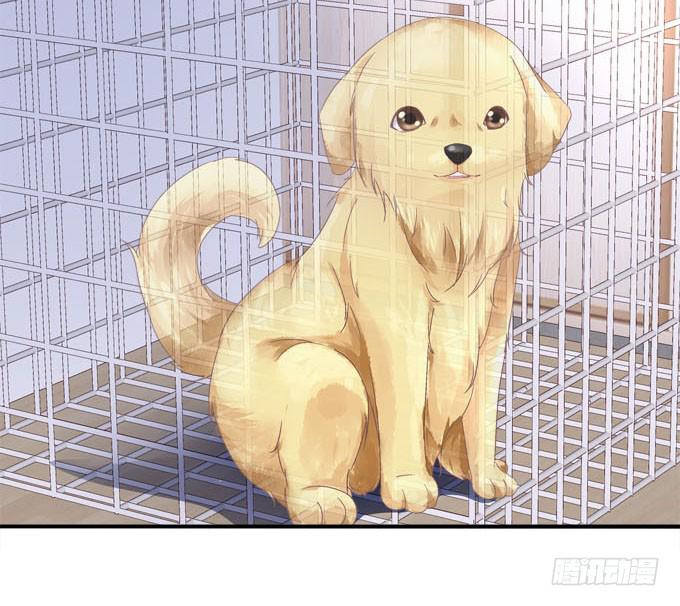 带你去见家长~(1/2)-第30话