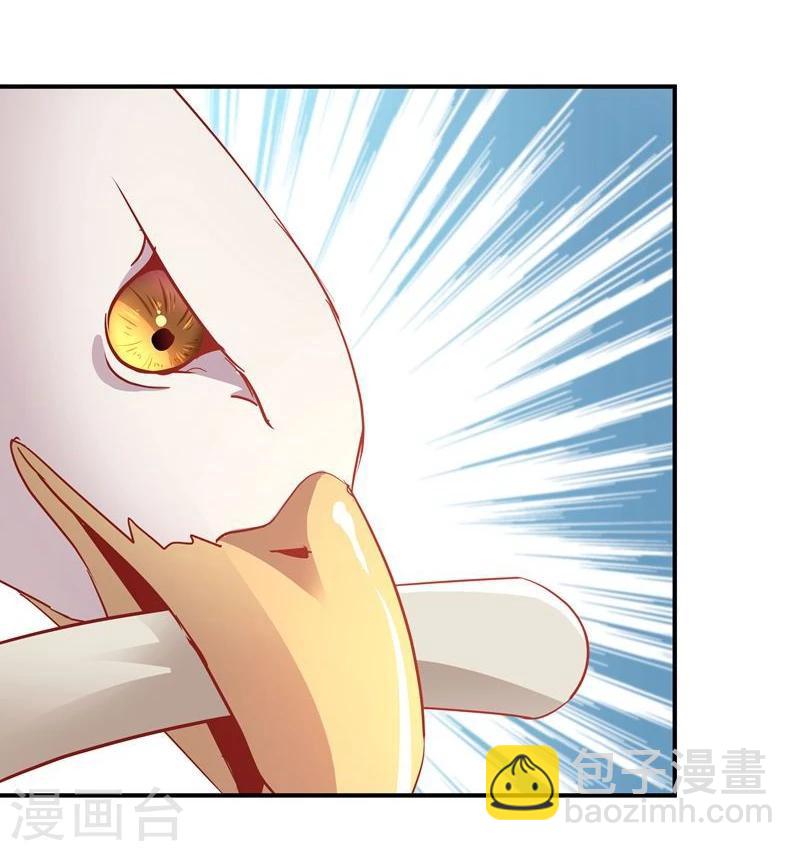 第12话 碰瓷-第12话