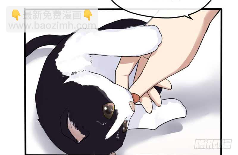 33-收留（下）(1/2)-第36话