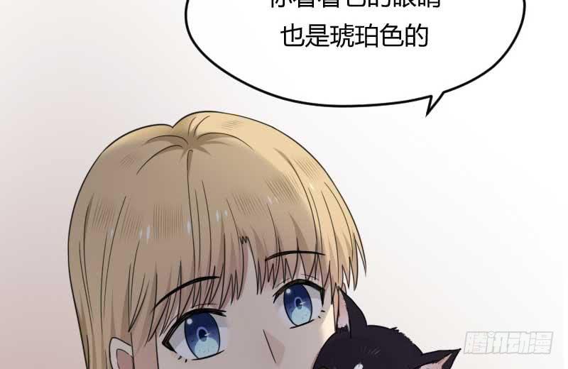 33-收留（下）(1/2)-第36话