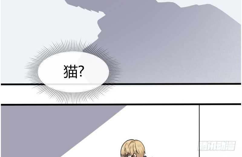 33-收留（下）(1/2)-第36话