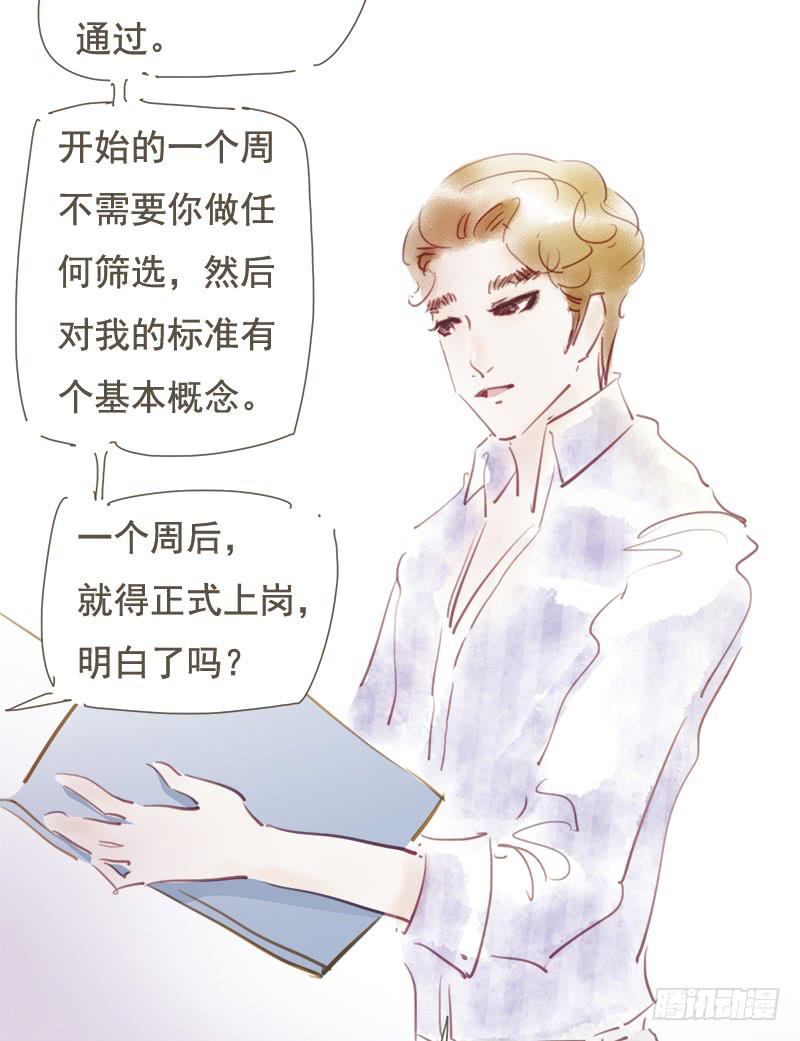 正式入职-第10话