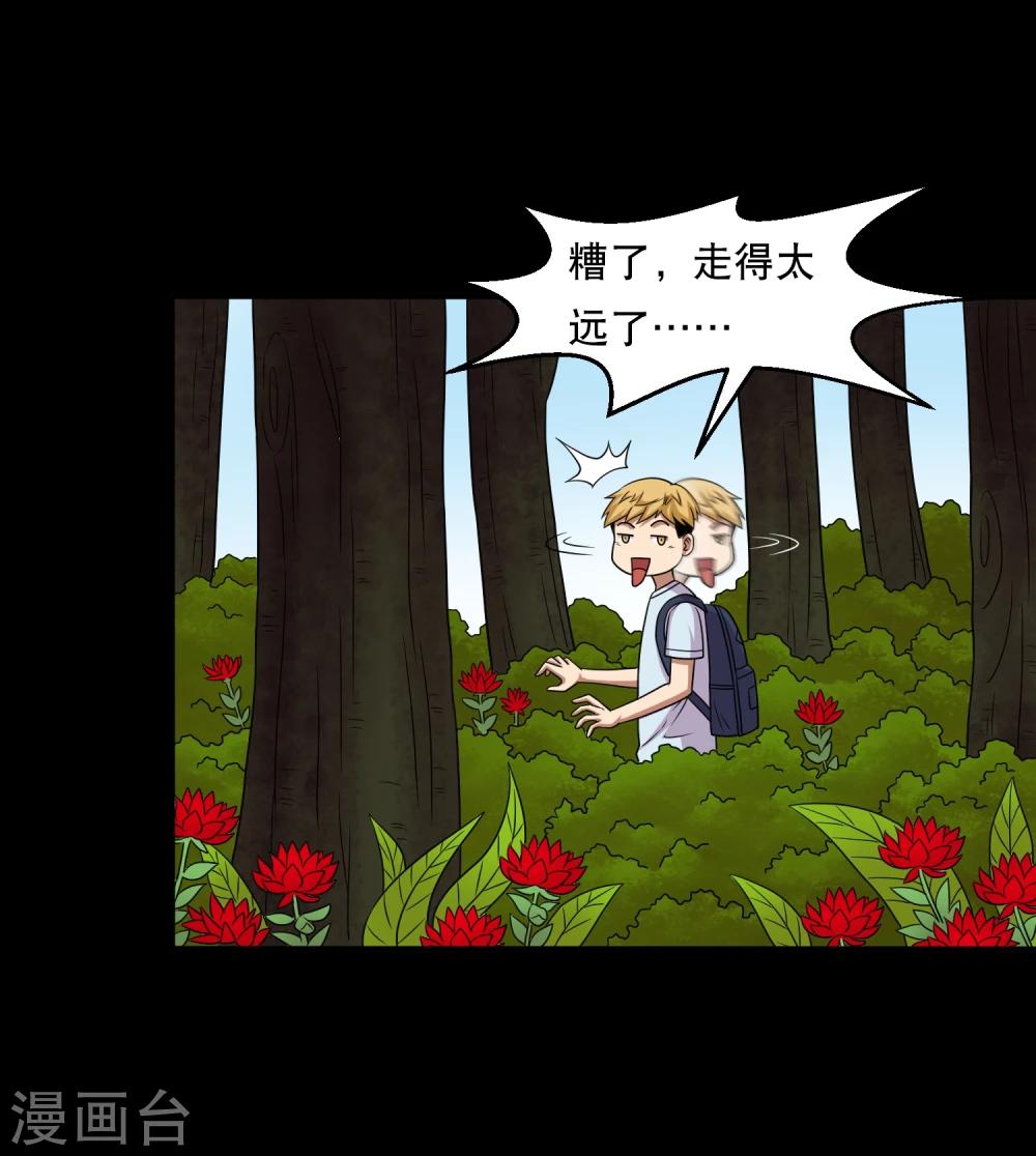 第38话 蛇口夺宝-第40话