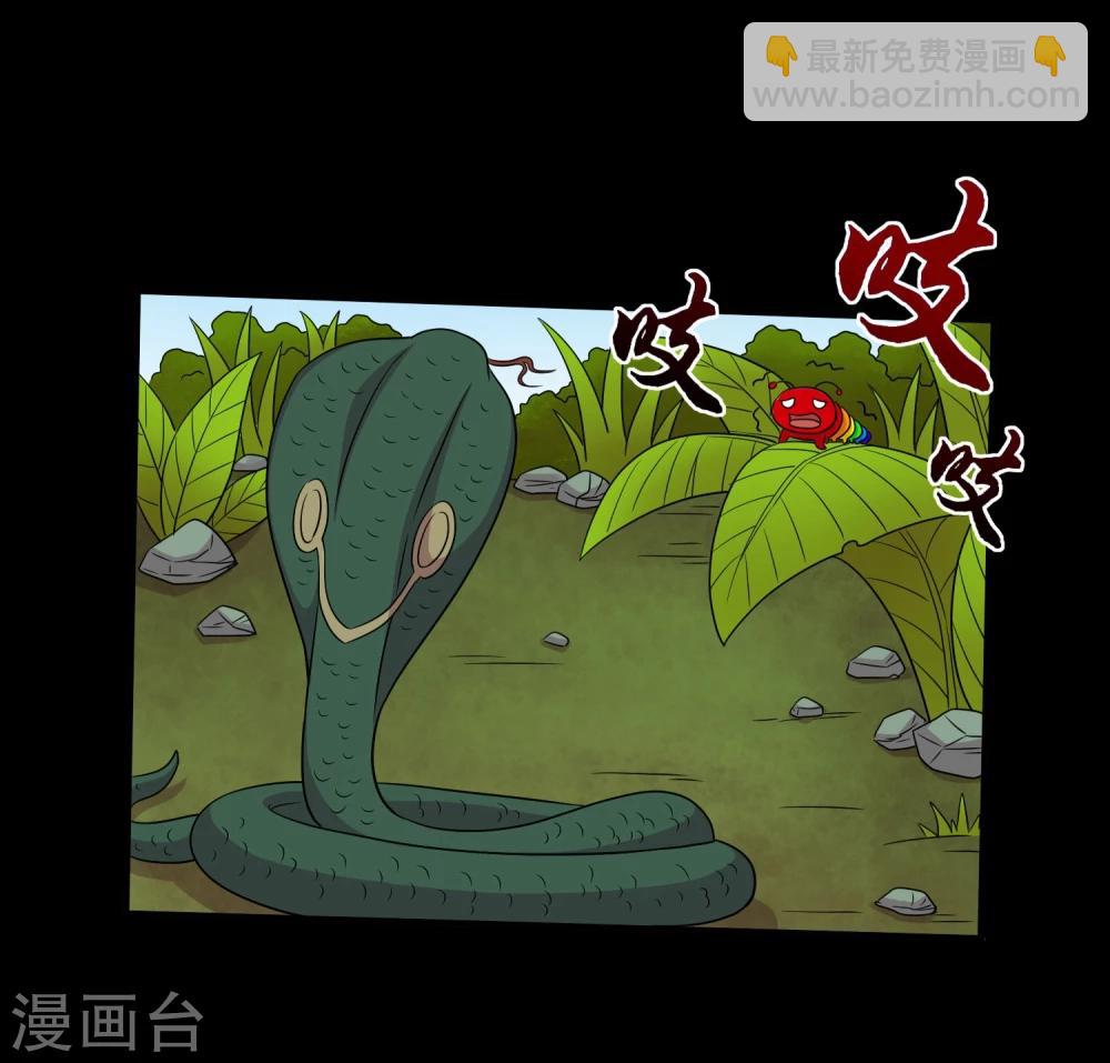 第38话 蛇口夺宝-第40话