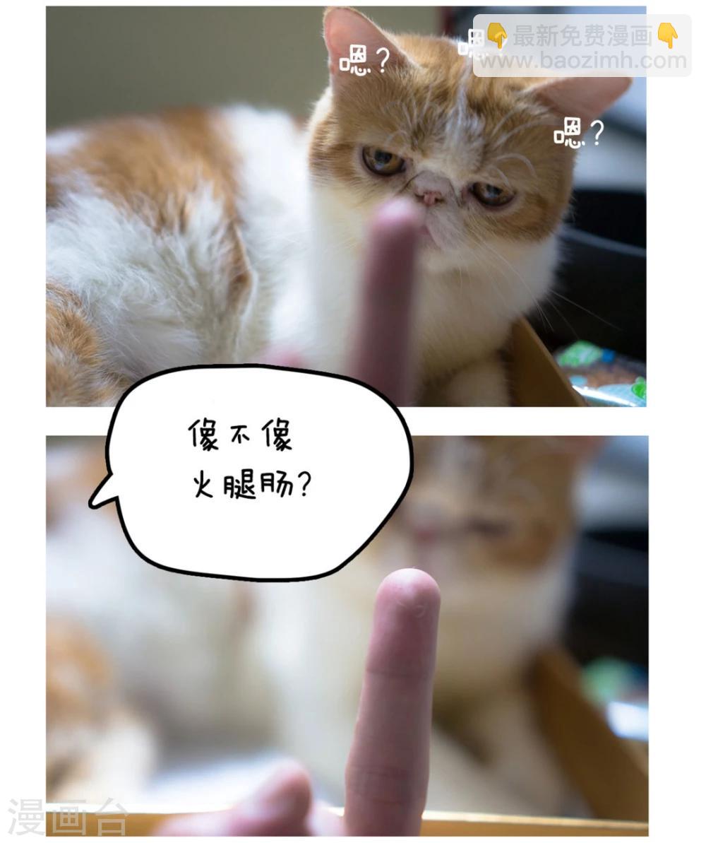 拖更番外系列-第12话