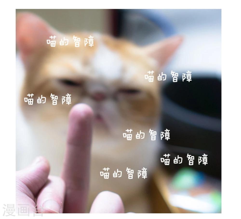 拖更番外系列-第12话