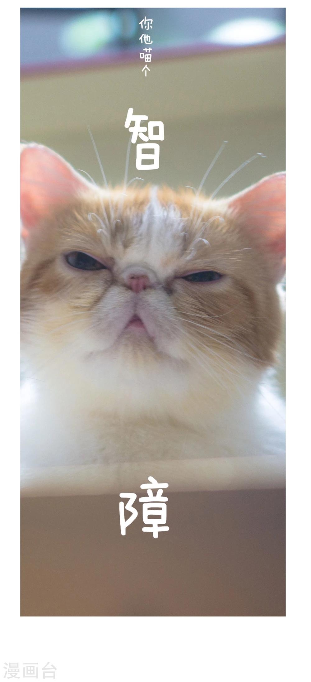 拖更番外系列-第12话