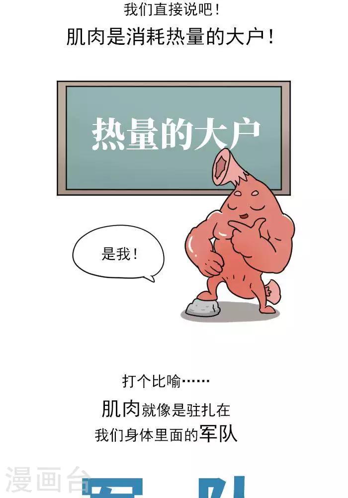 第12话  肌肉，减肥的好帮手！-第12话