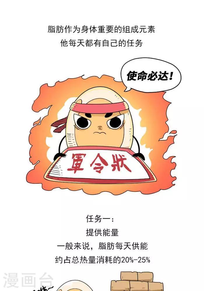 第8话  脂肪的前世今生-第8话