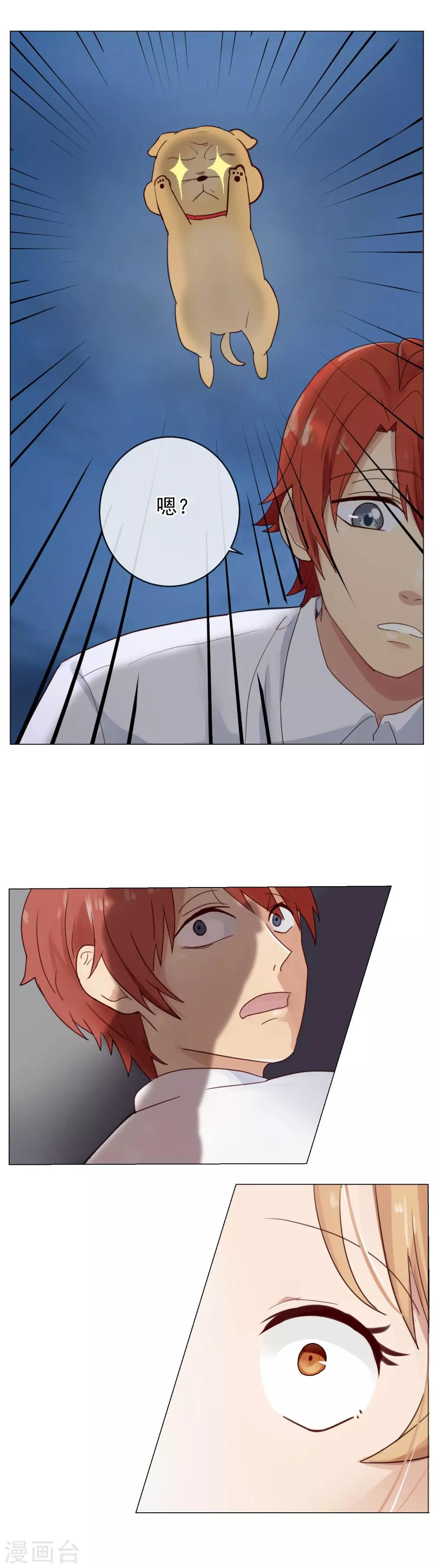 第3话 恶犬神助攻-第4话