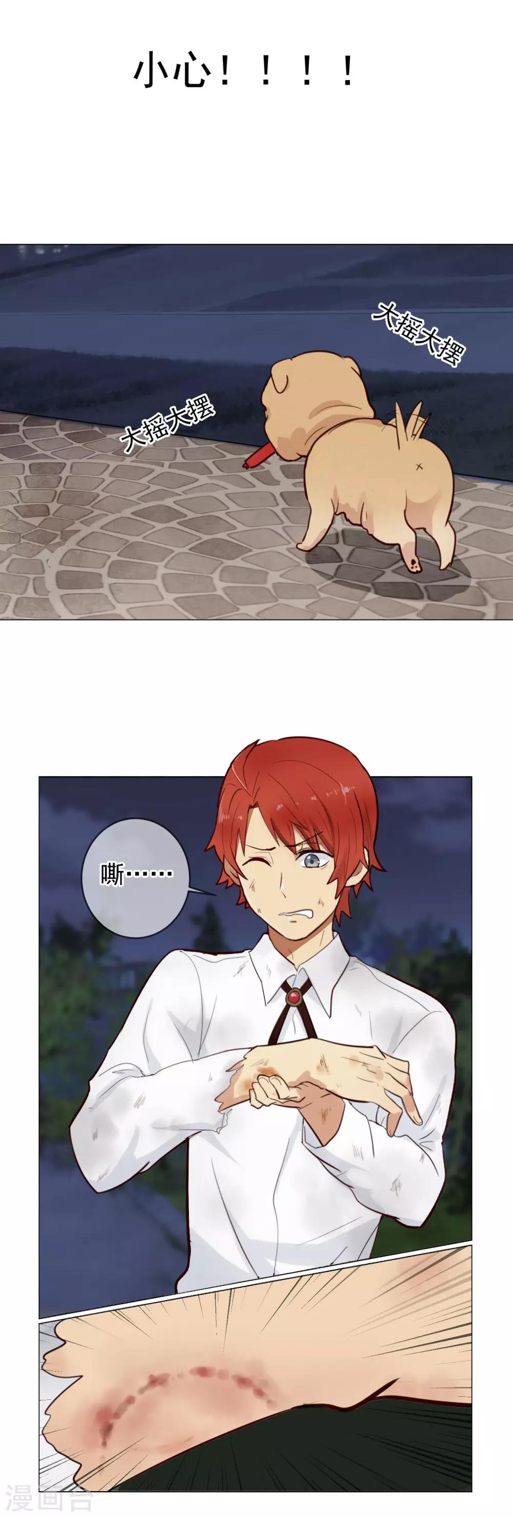 第3话 恶犬神助攻-第4话