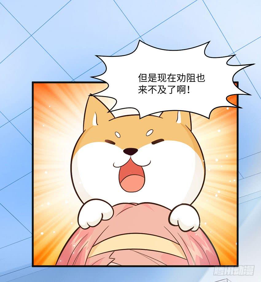 少女间的对决-第12话