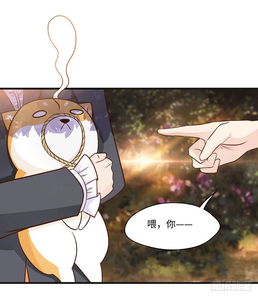 25&middot;英雄救汪-第26话