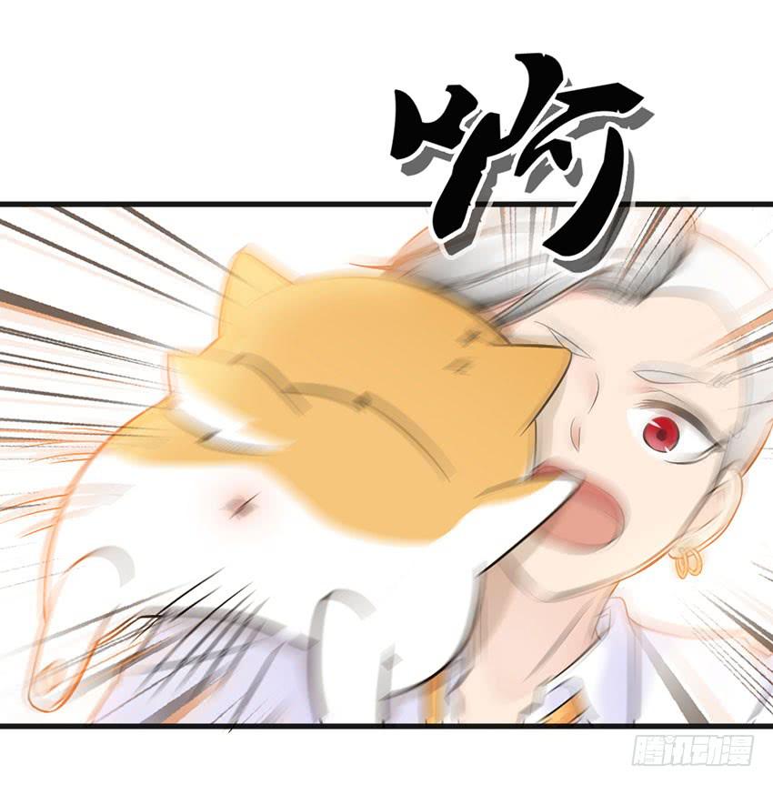 25&middot;英雄救汪-第26话