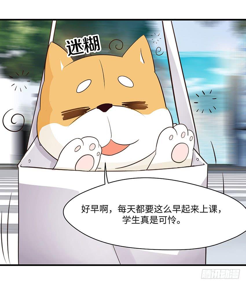 31&middot;奇怪的十字路口-第32话