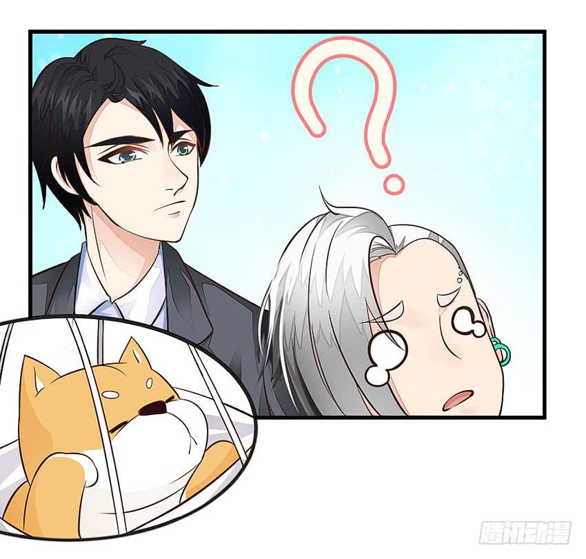 35&middot;保护小狗！-第36话