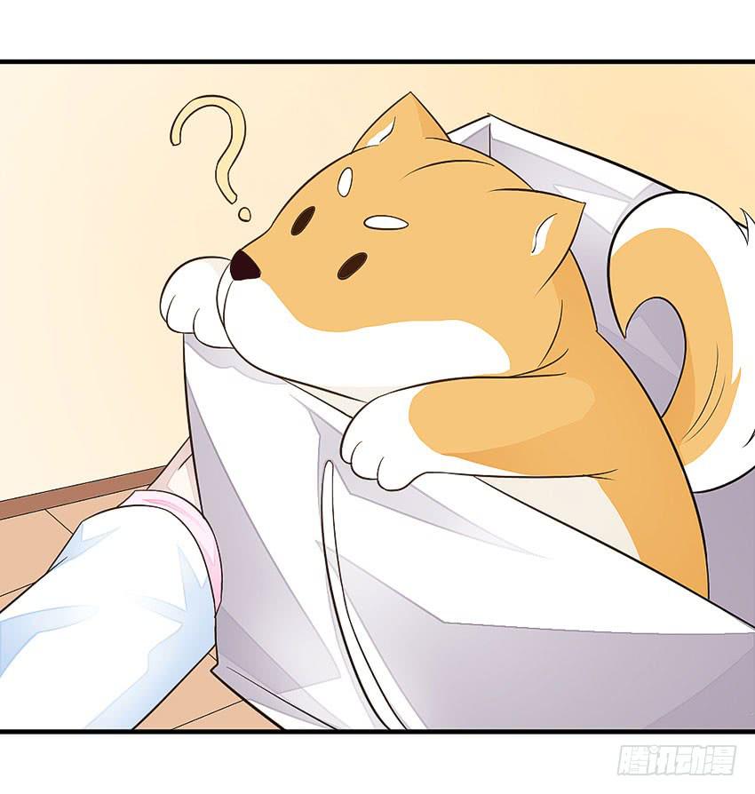 35&middot;保护小狗！-第36话