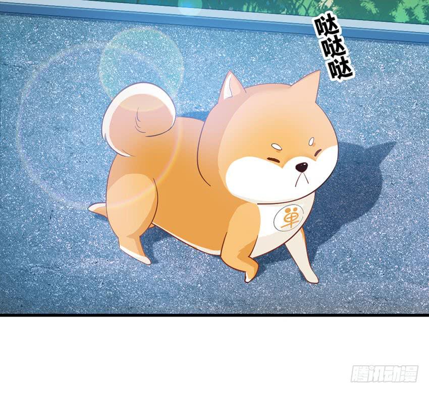 花坛边的小正太-第8话