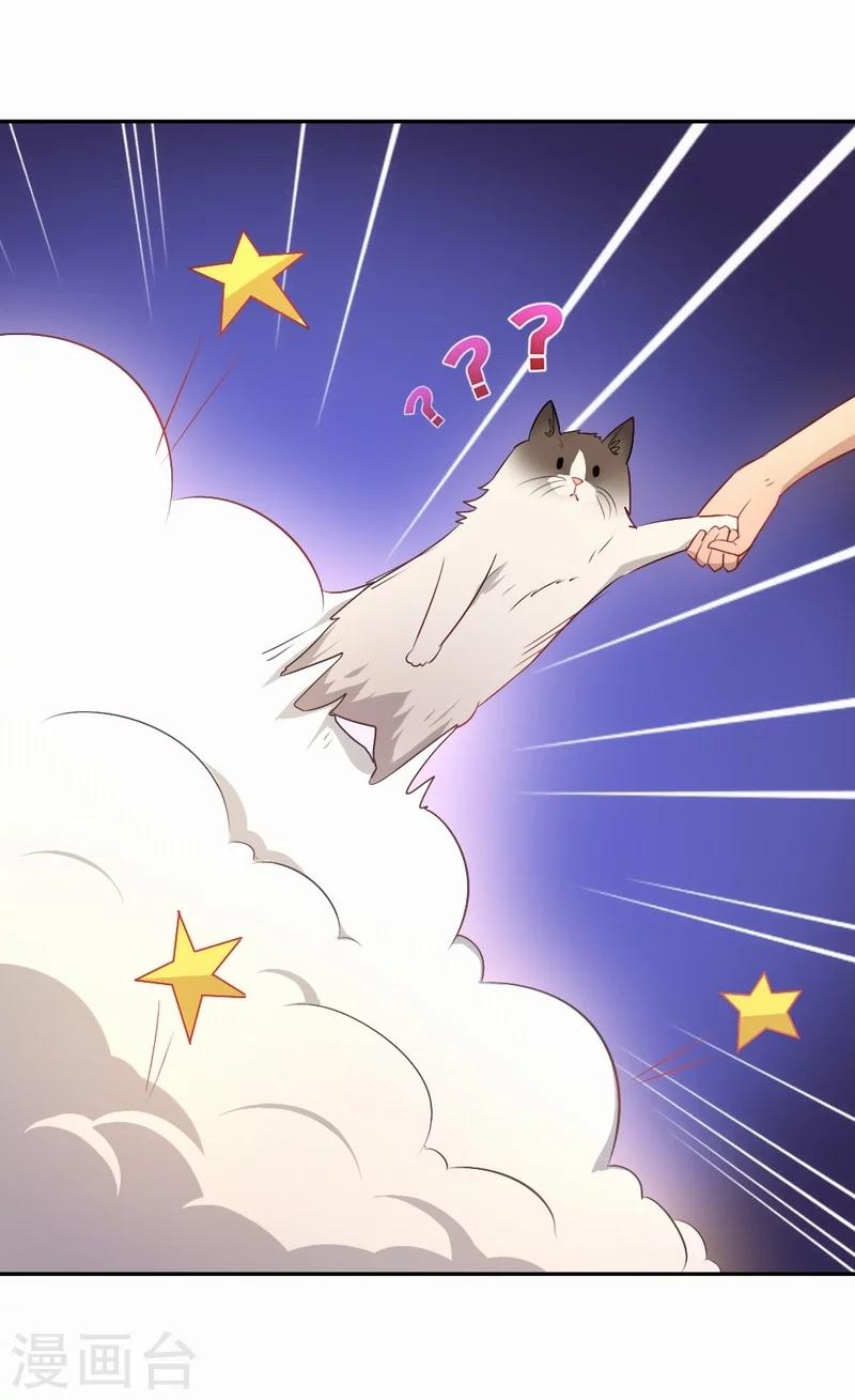 第59话 新晋猫奴-第60话