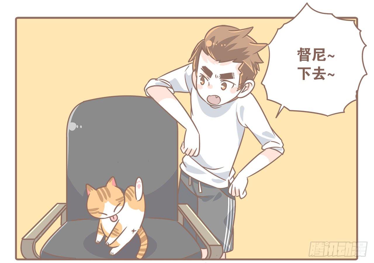 猫奴的生活-第30话