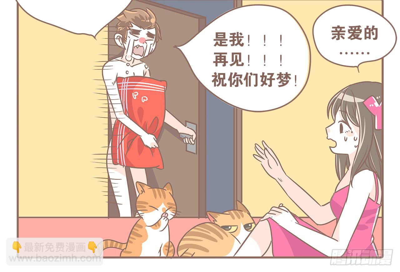 猫奴的生活-第30话