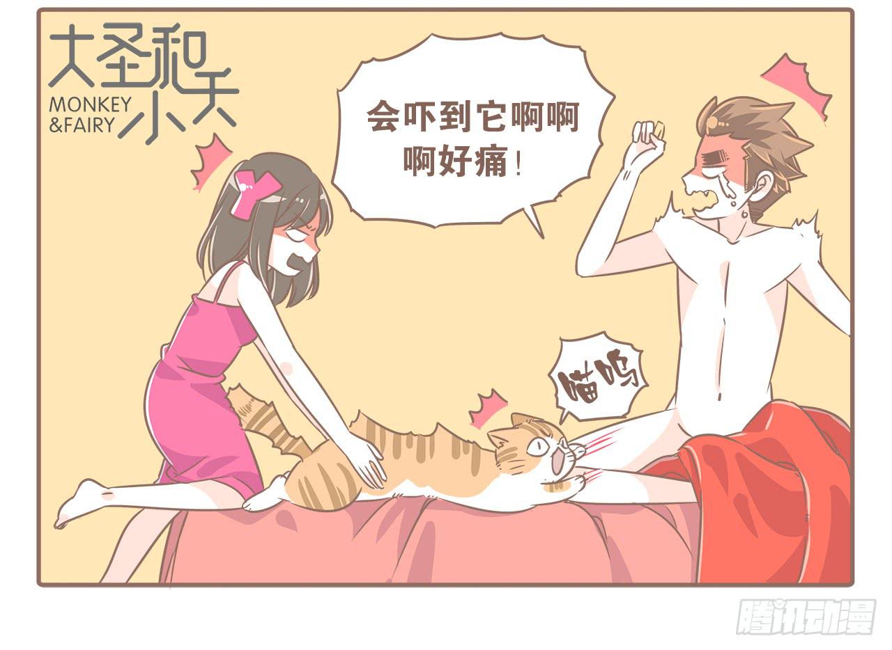 猫奴的生活-第30话