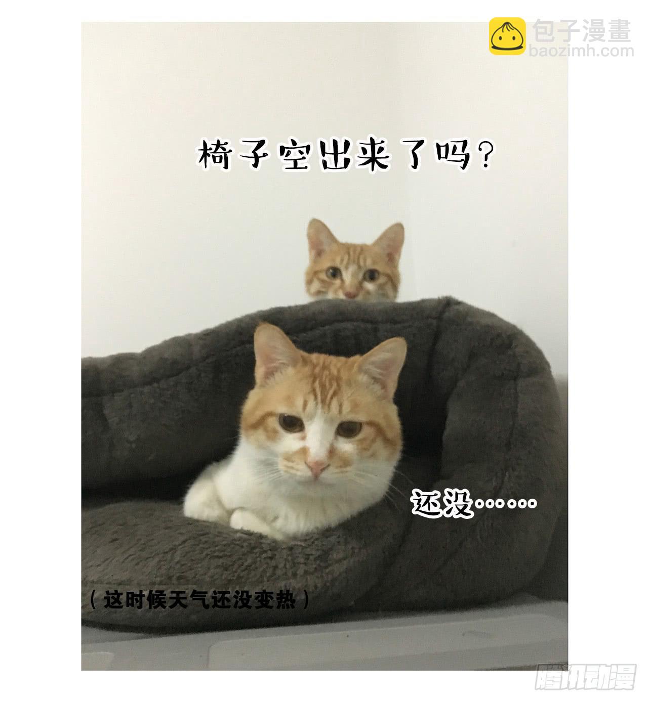 猫奴的生活-第30话