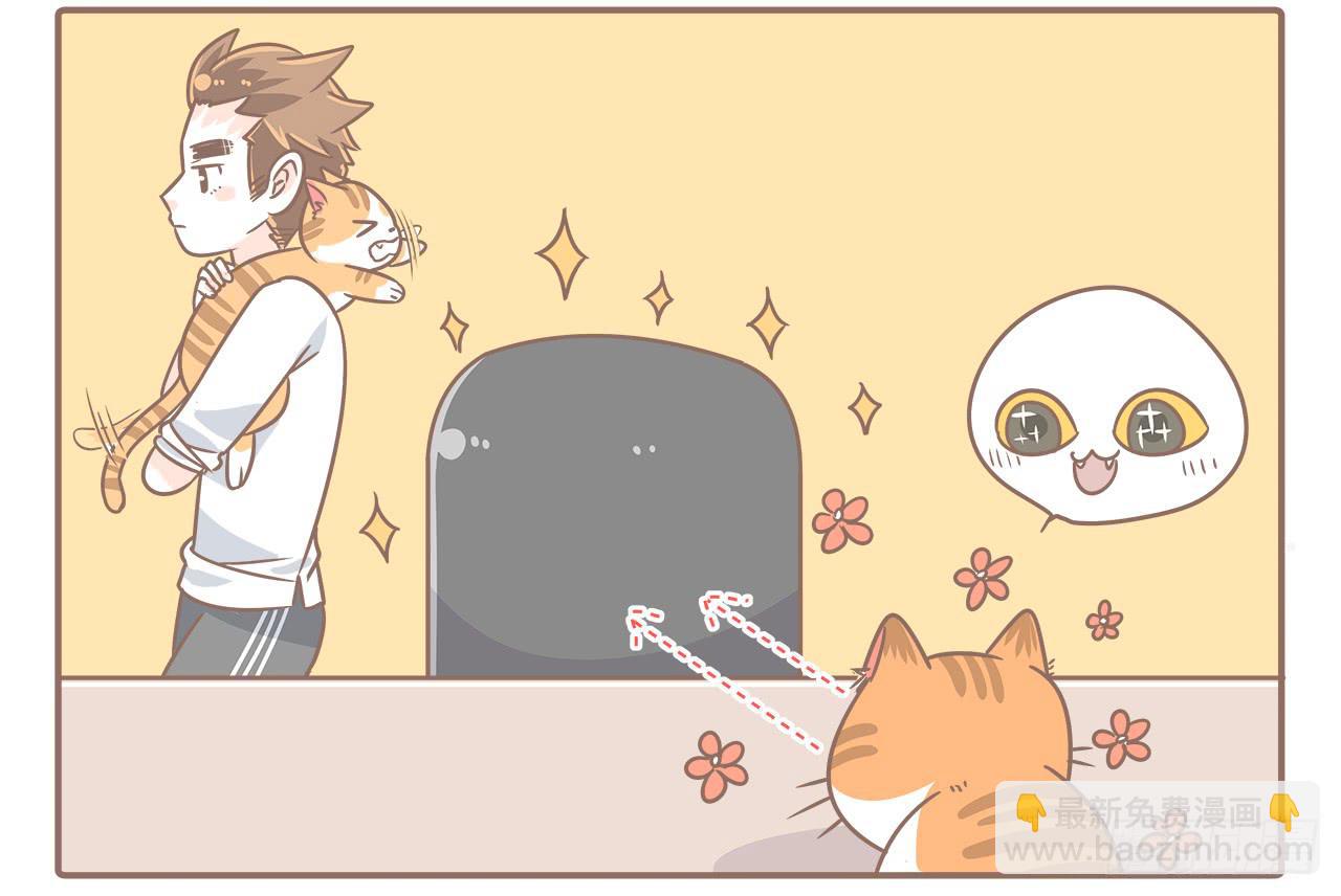 猫奴的生活-第30话