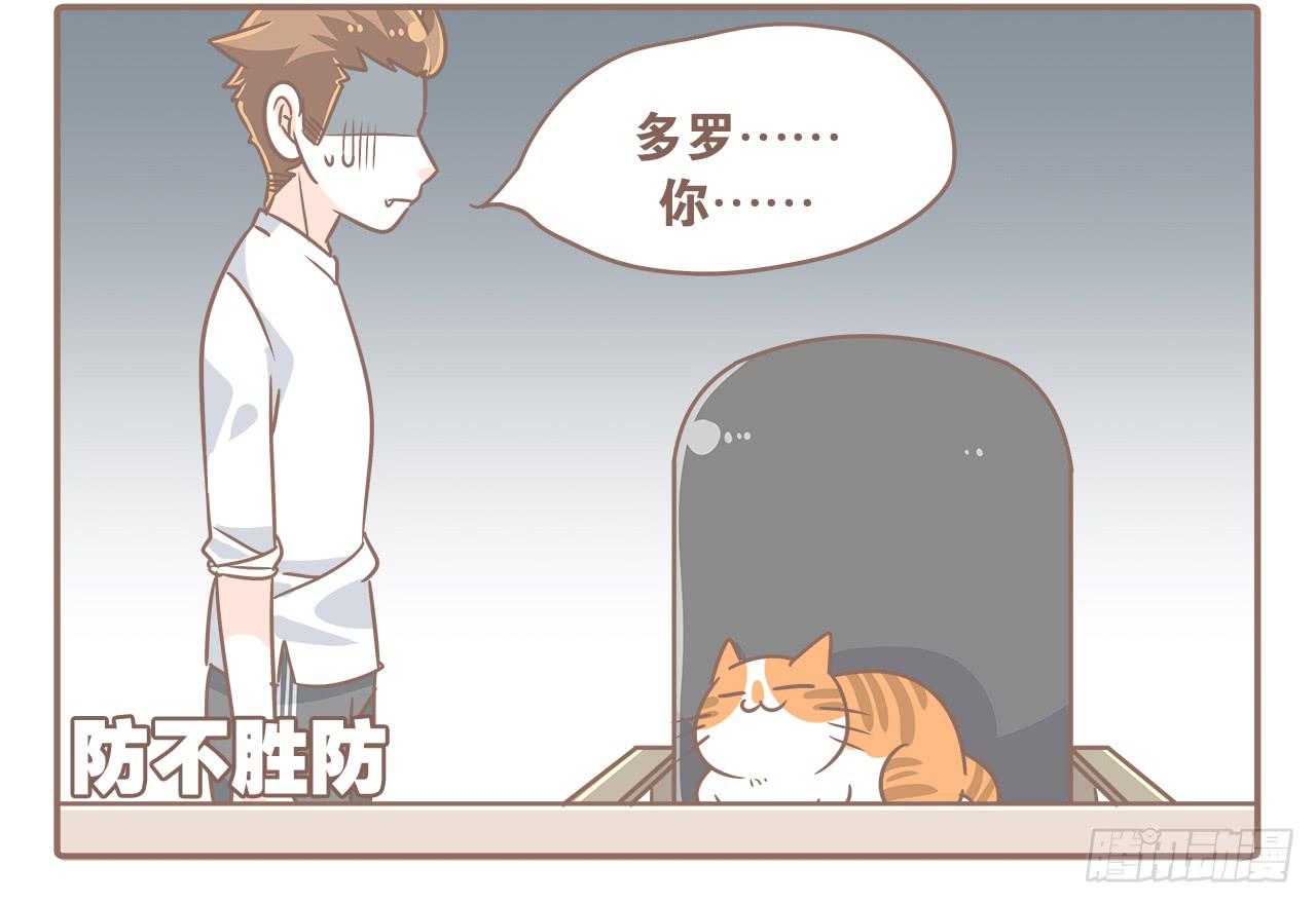 猫奴的生活-第30话