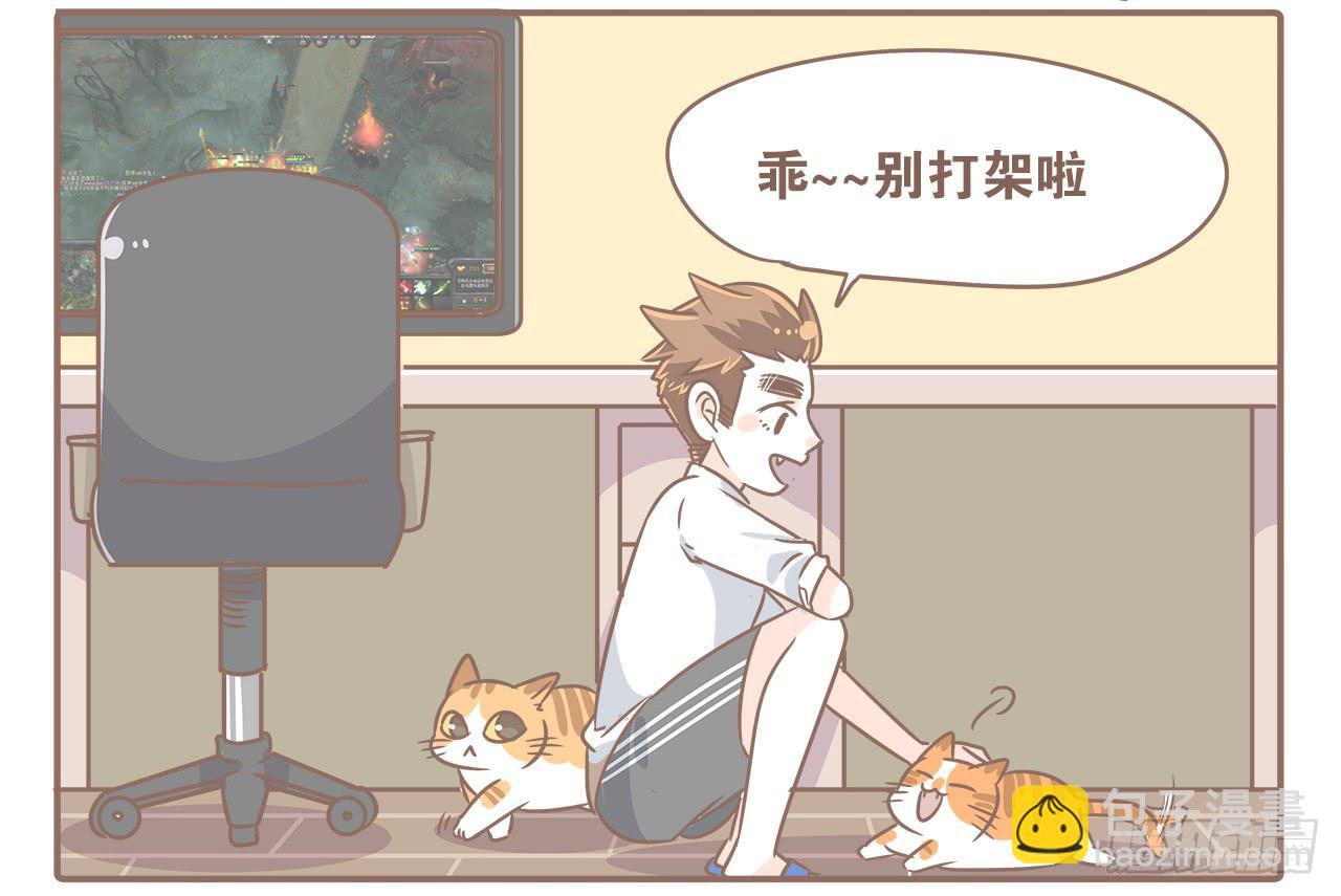 猫奴的生活-第30话