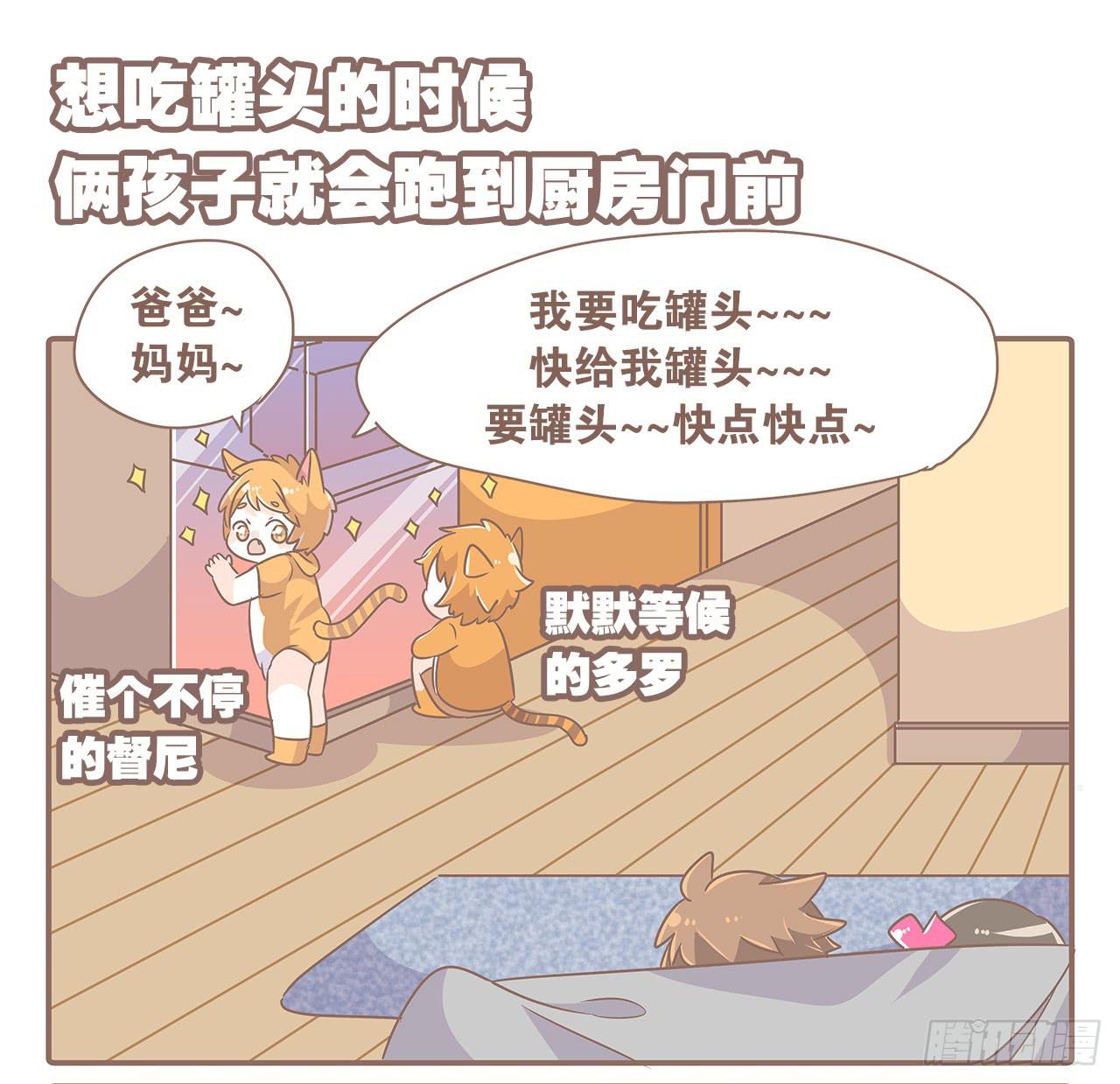 特别篇：家有俩猫-第48话