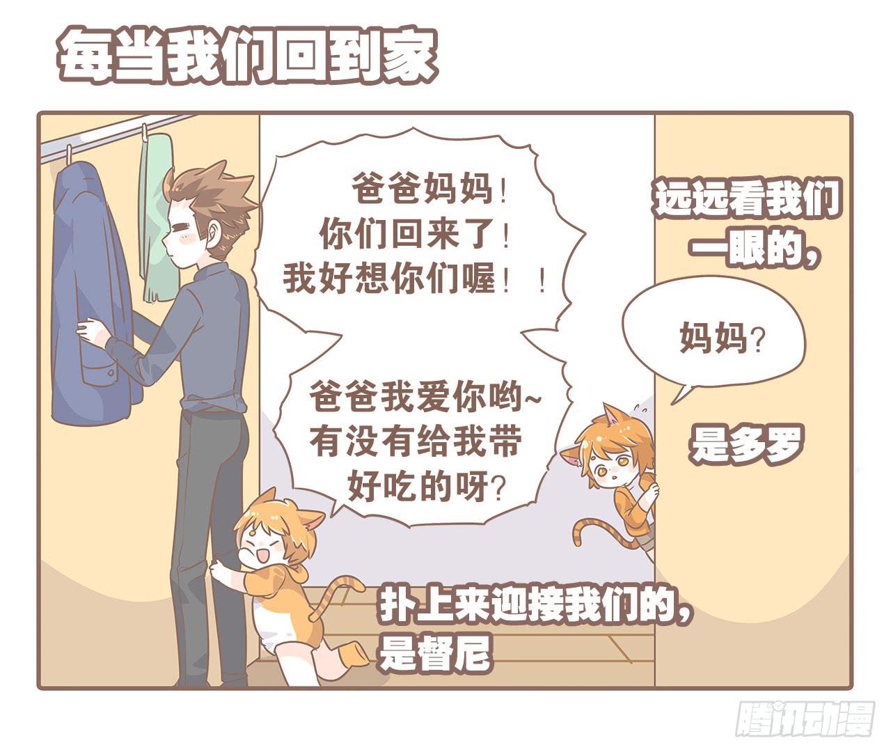 特别篇：家有俩猫-第48话