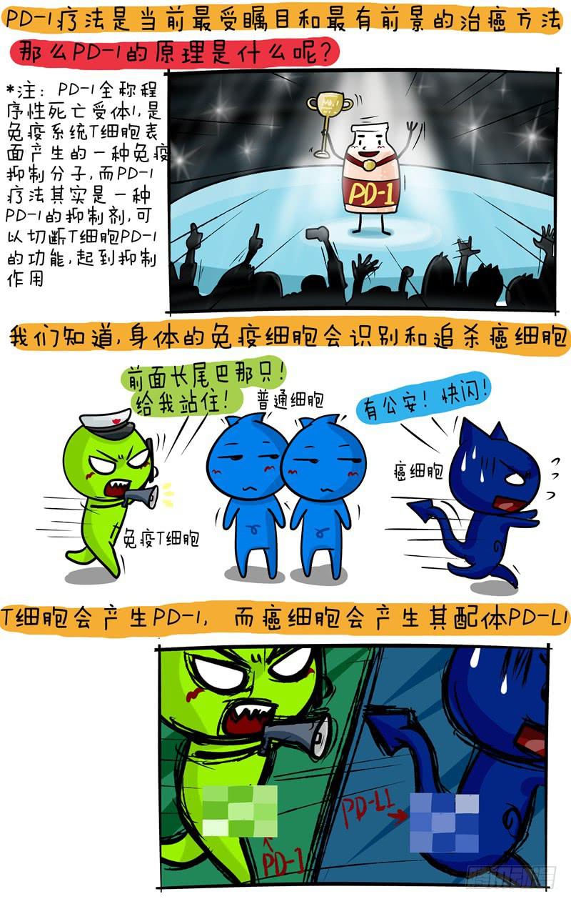 第57话 PD1科普-第58话