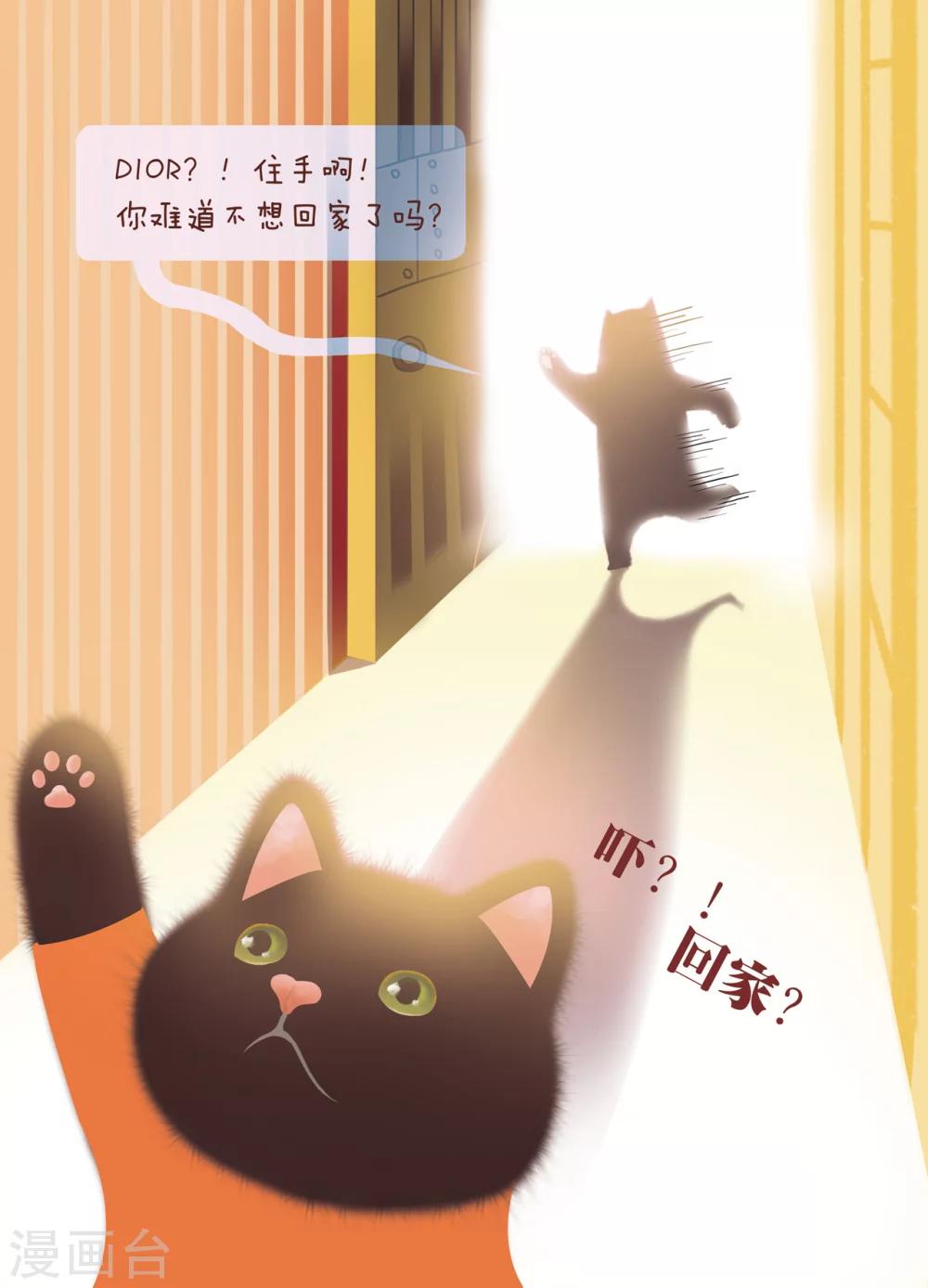 第4话 你也会孤单吗？-第4话