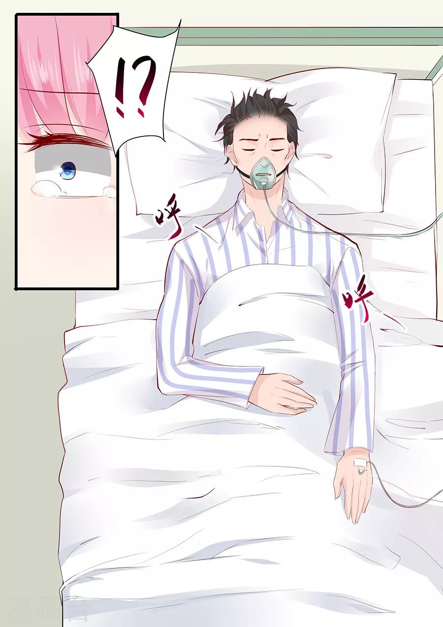 帝少的獨寵計劃 - 第252話 去世 - 2