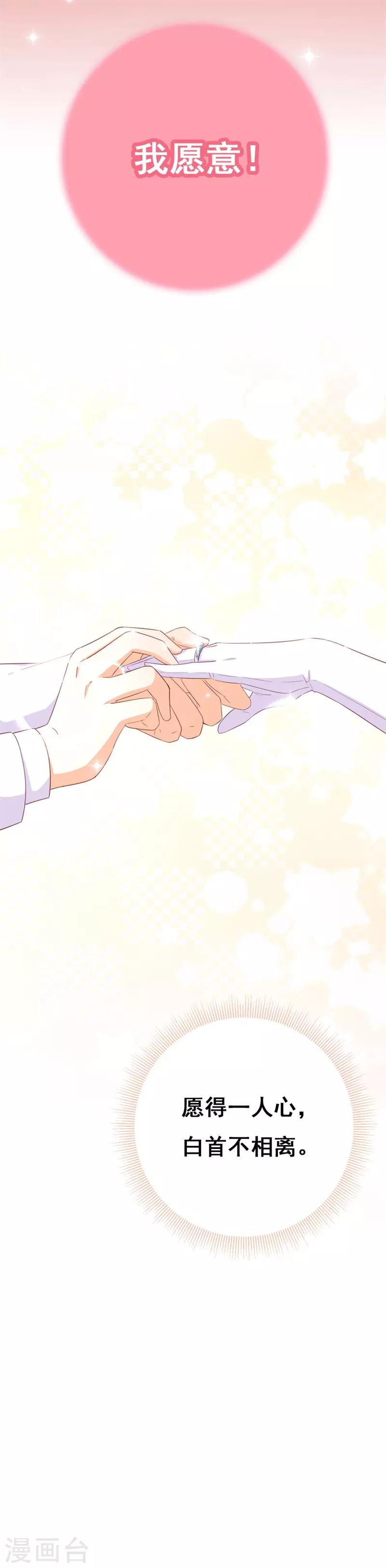 第46话 我们结婚啦-第48话