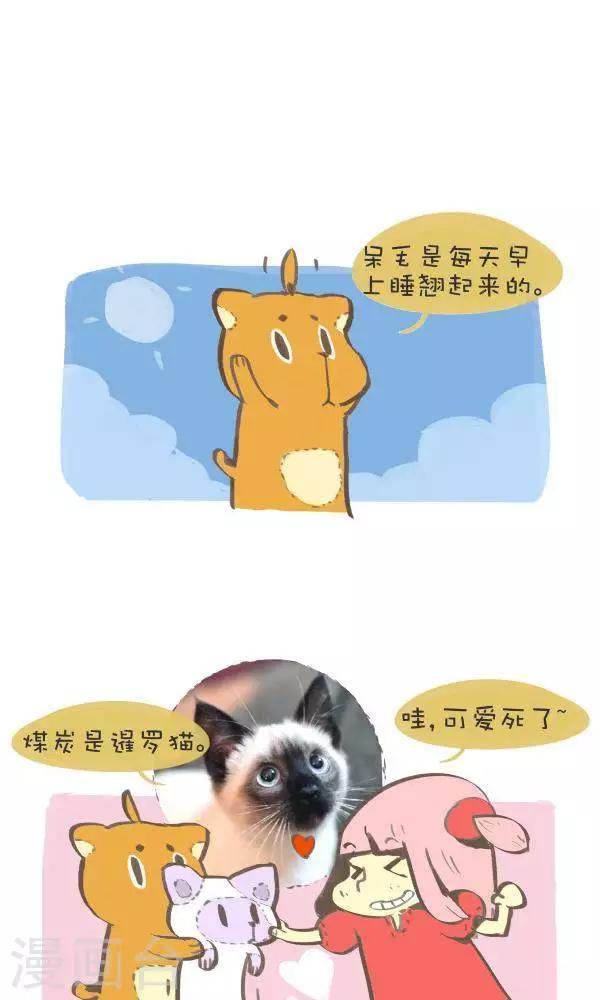 第八十二话  原型-第82话