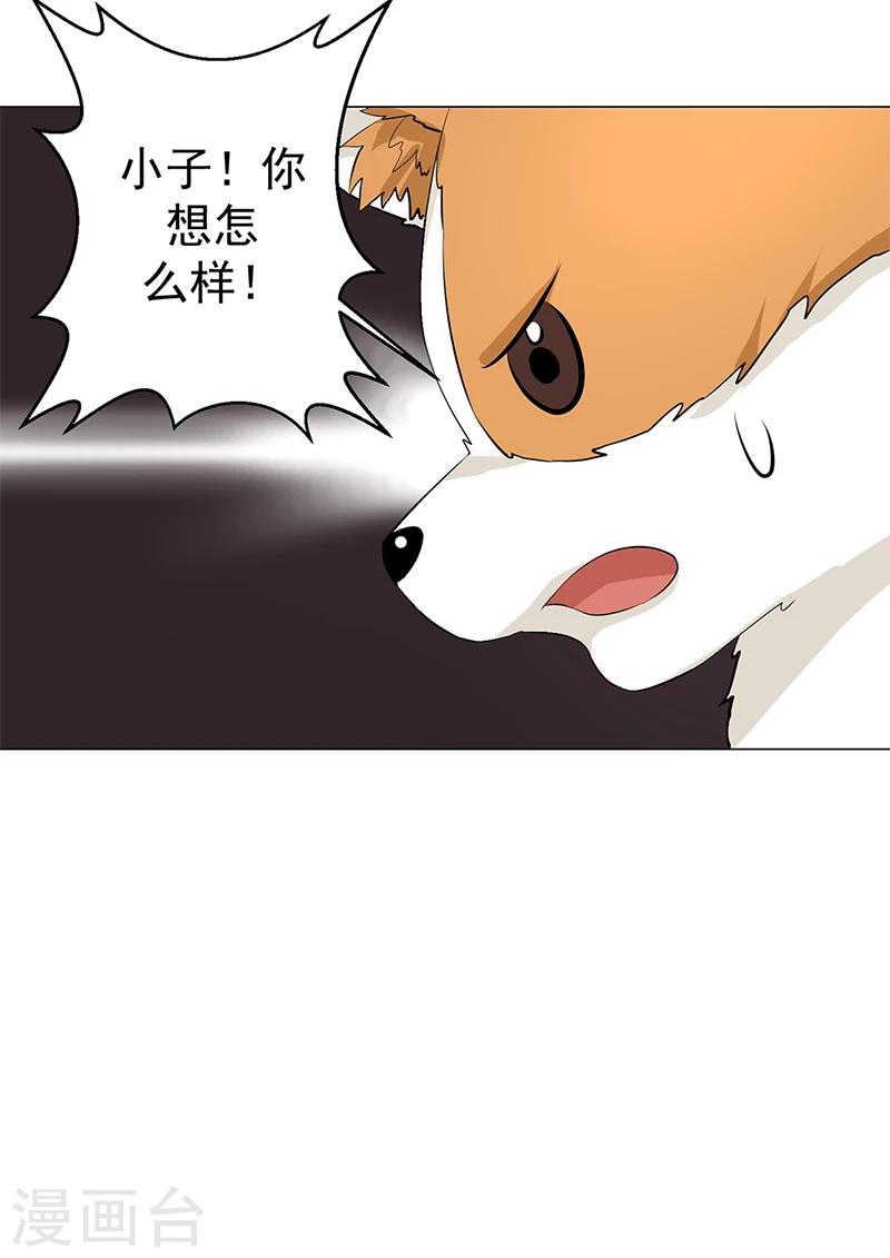 第12话 正式加入-第12话