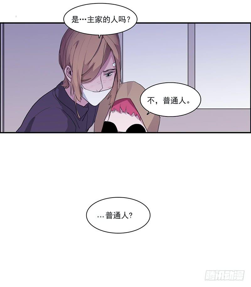 28.黑兔子和白兔子-第30话