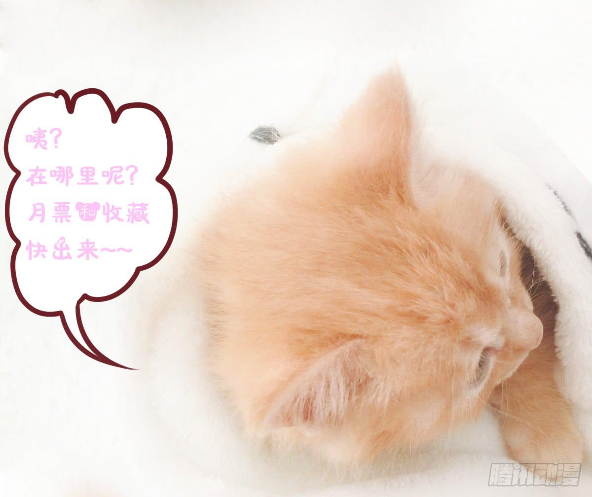 卫生间的阴谋(1/2)-第54话