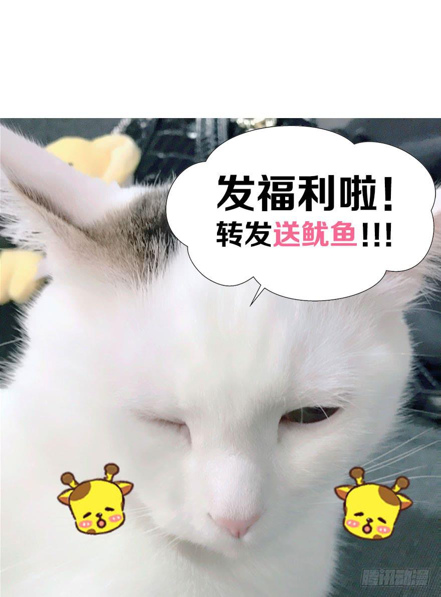 听说墨鱼被甩了(1/2)-第22话