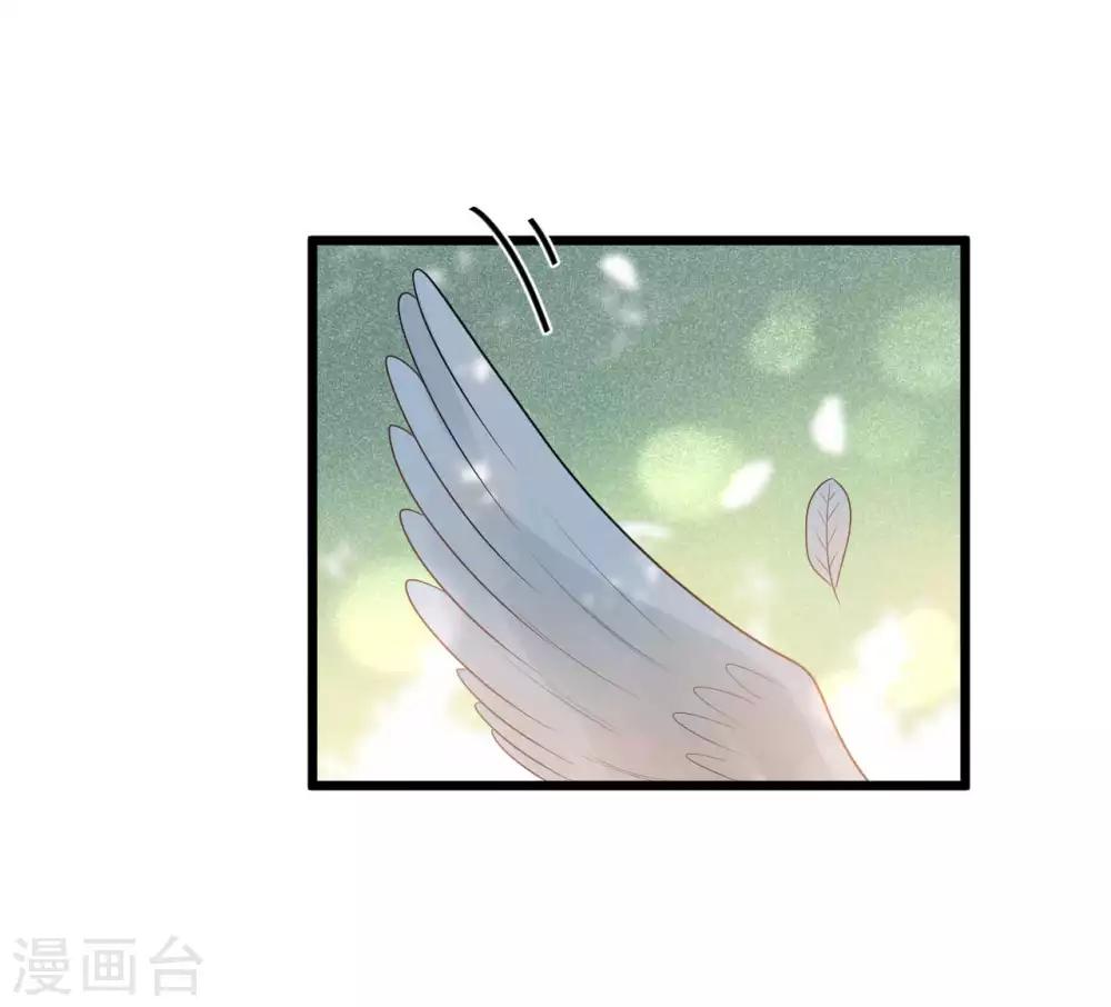 第41话 注定有缘无分-第44话