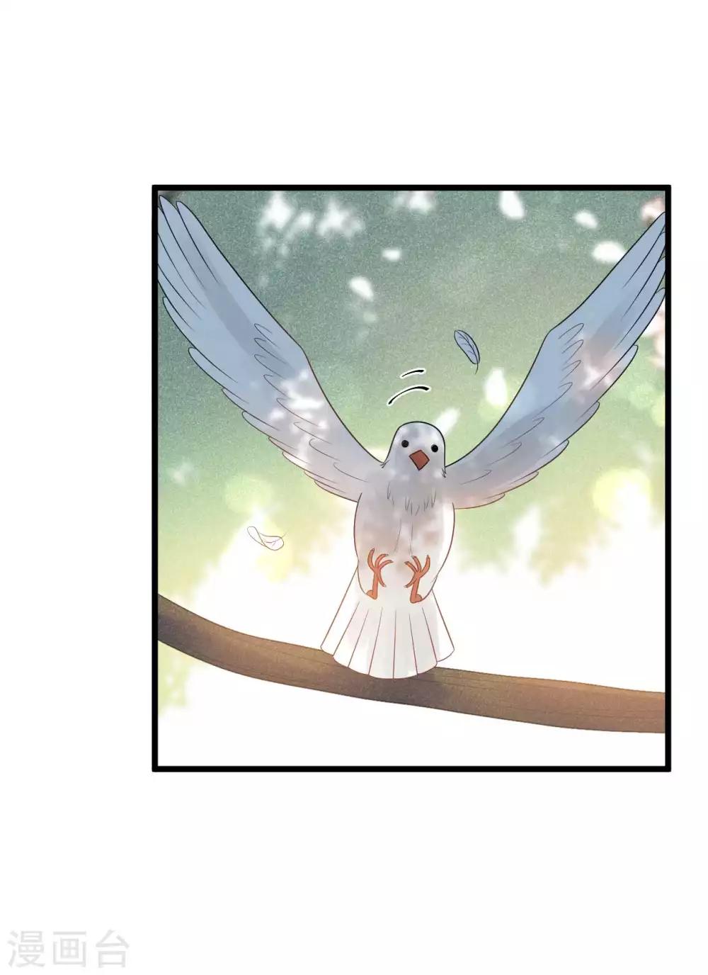 第41话 注定有缘无分-第44话