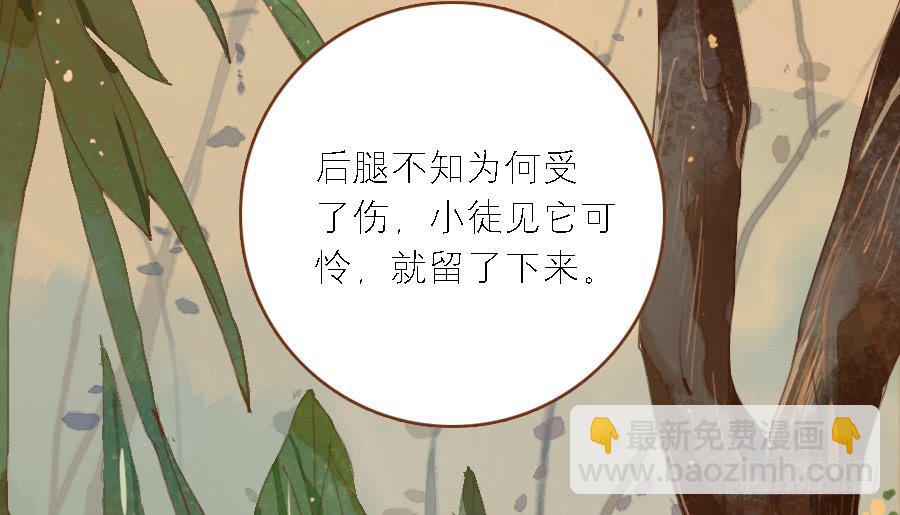 神鹿寻回入旧居(1/3)-第12话