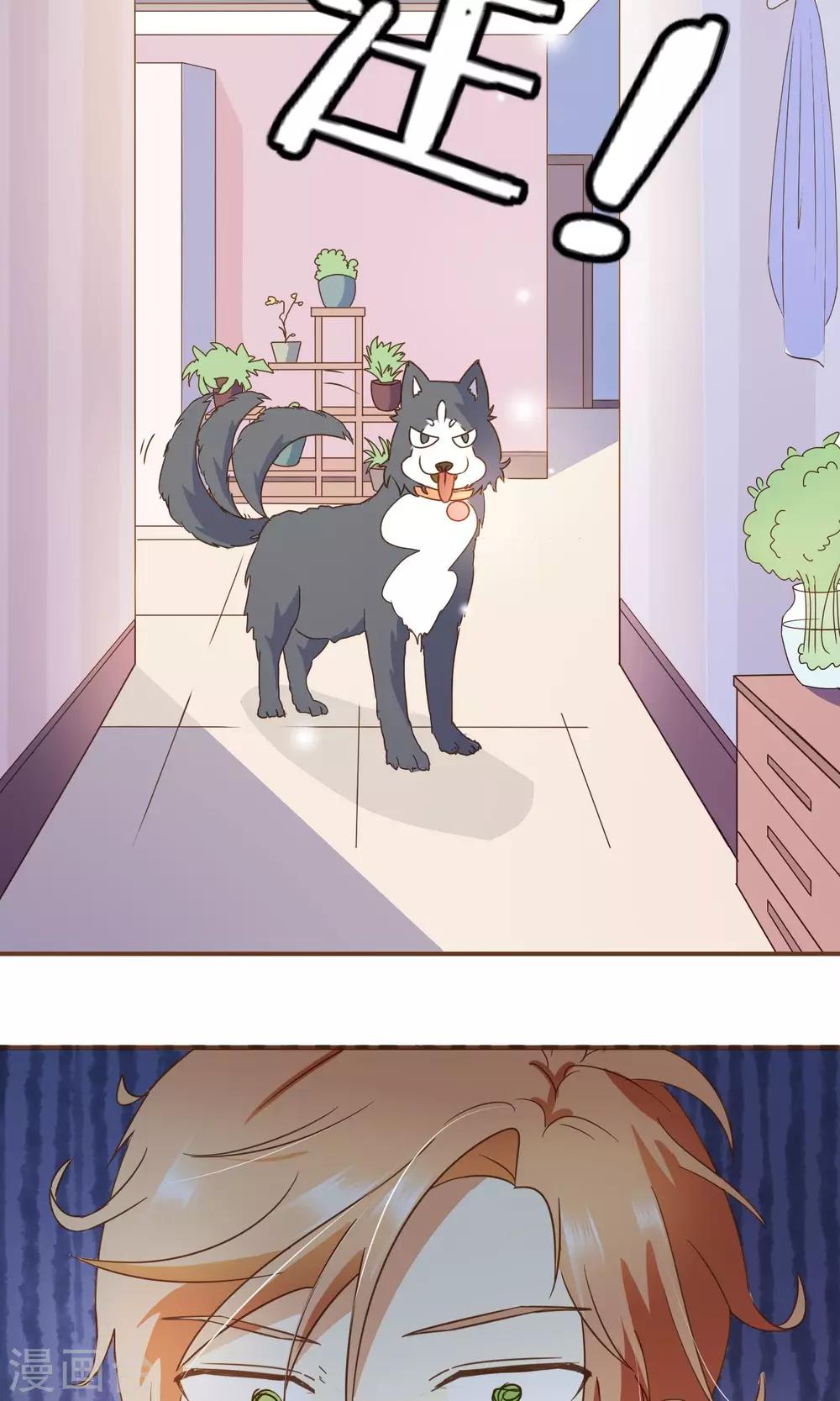 第25话 没这么简单！-第26话