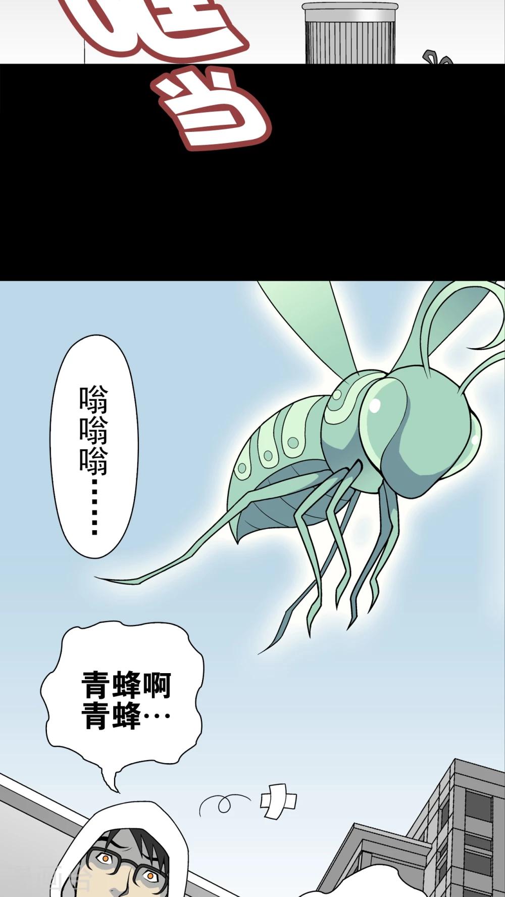 第28话 青蜂的指引-第28话